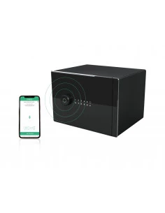 coffre-fort-maison-Coffre Fort À Poser Arregui... 2