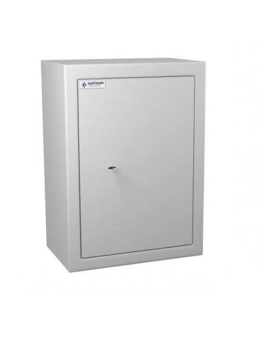 armoire-a-cles-Armoire Forte Clés Protect 300 Serrure À Clés-1