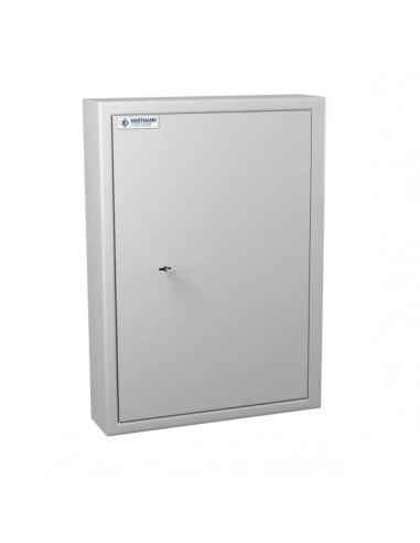 armoire-a-cles-Armoire Forte Clés Protect 100 Serrure À Clés-1