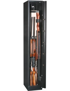 armoire-1-9-fusils-Armoire À Fusils Infac... 2