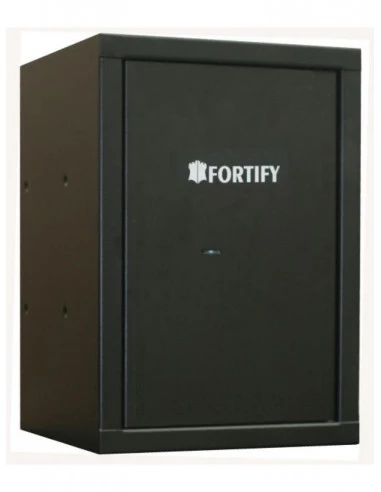 coffre-fort-arme-de-poing-Coffre Fort Pour Armes De Poing Fortify Delta 2 Serrure À Clé-1
